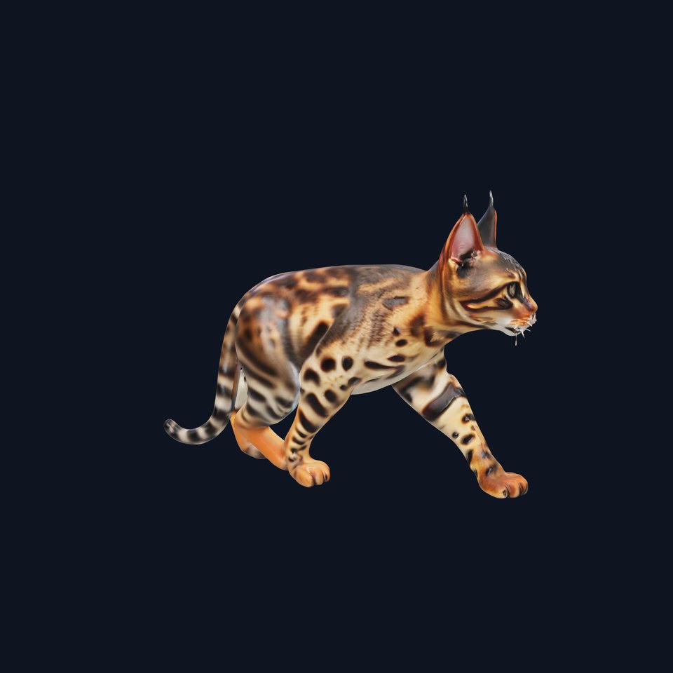 Realistic Bengal Cat Model Pack for D Rendering and Games